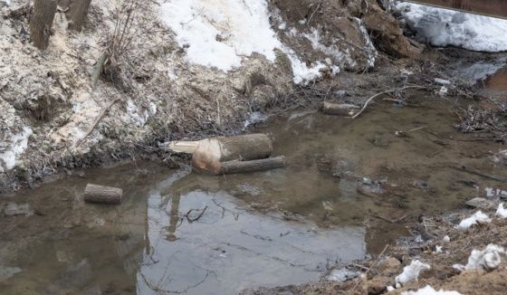 В Казани усилили контроль за паводковой ситуацией