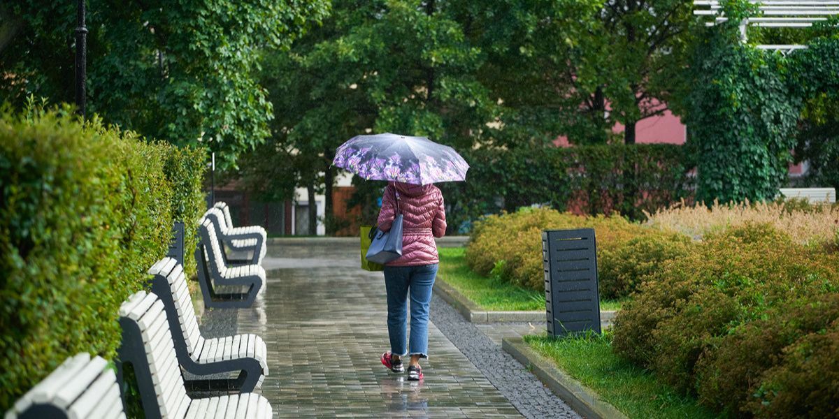 В Петербурге объявлен «желтый» уровень опасности из-за погодных условий