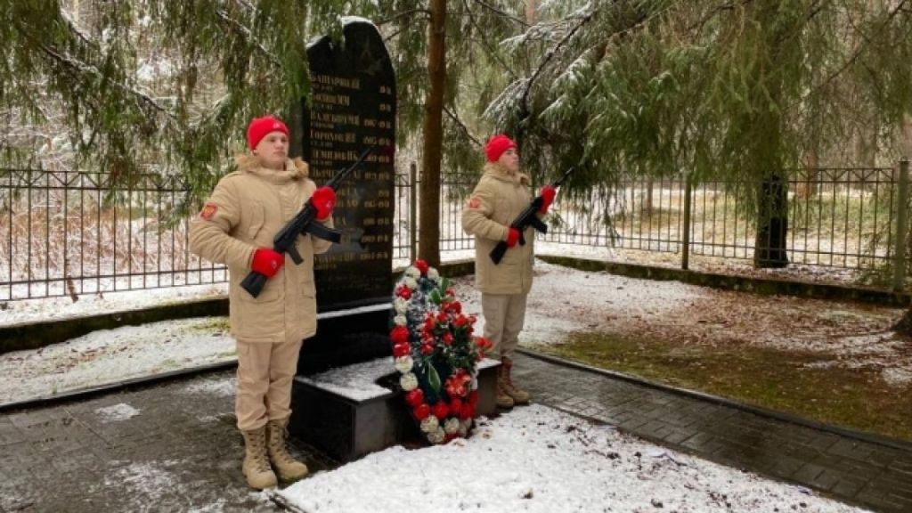 Далёкий глас войны доносится до нас. Поисковые отряды нашли в Тверской области останки 716 солдат