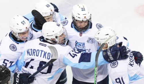 Новосибирские хоккеисты установили рекорд