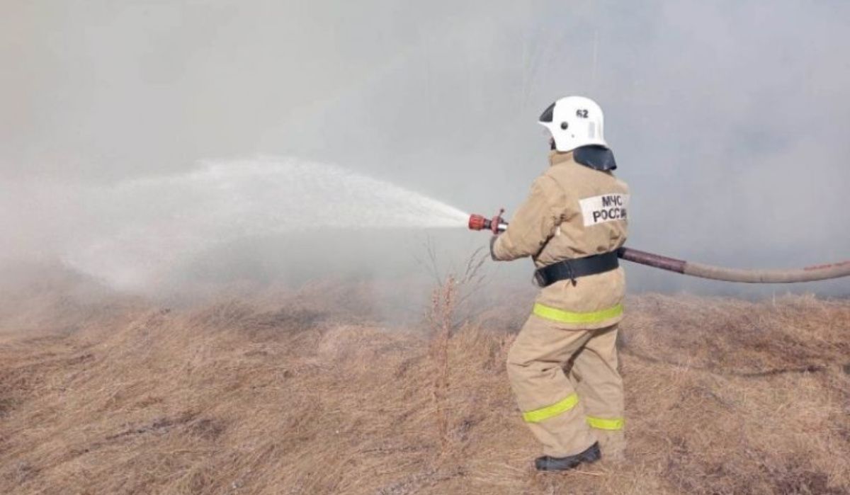 В Омской области за 10 дней установлены виновники природных пожаров