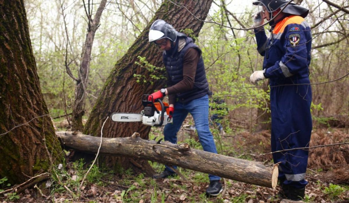 В Ростове уже несколько дней устраняют последствия сильного ветра 