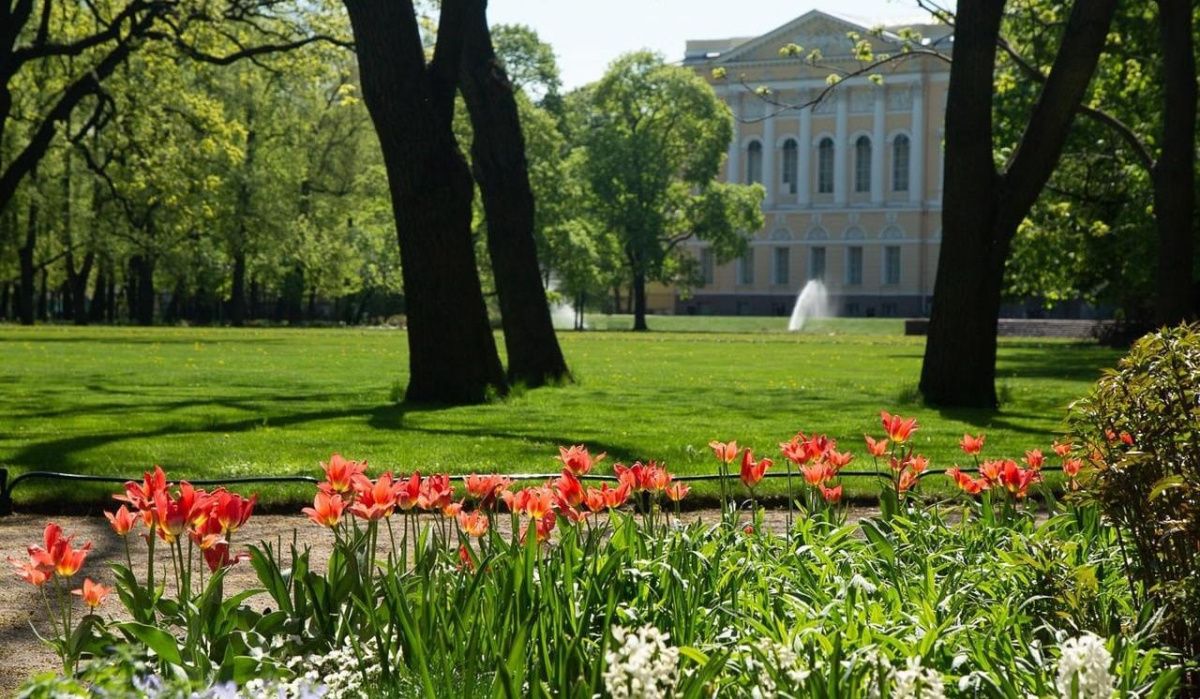 До +19 прогреется воздух в Санкт-Петербурге в среду