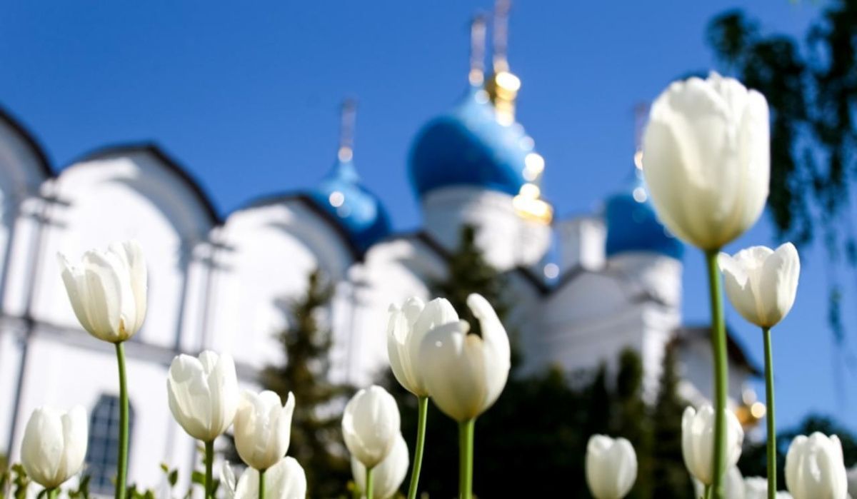 Жителей Казани приглашают поучаствовать в благотворительной акции «Белый цветок»