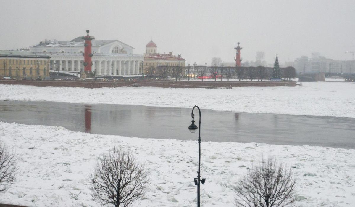 В Петербурге объявлен «желтый» уровень опасности из-за гололедицы