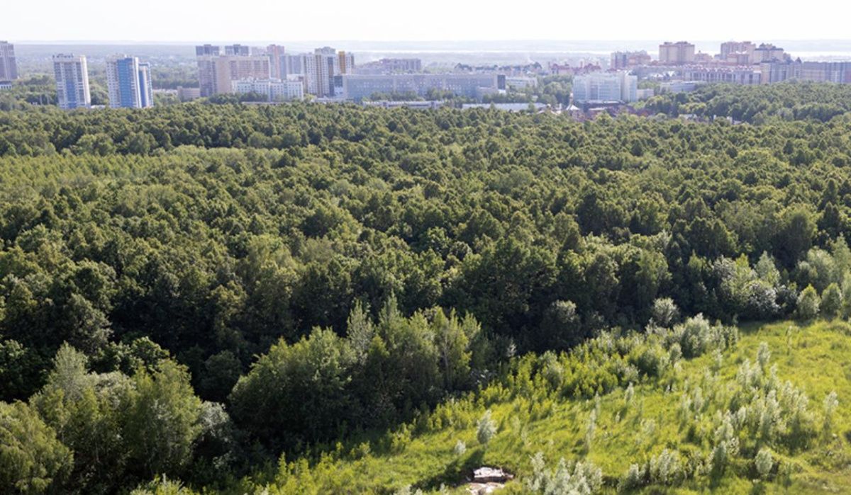 В Татарстане запретили гулять в лесах