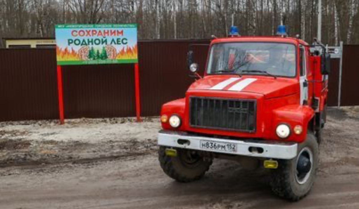 В Нижегородской области введён особый противопожарный режим в лесах