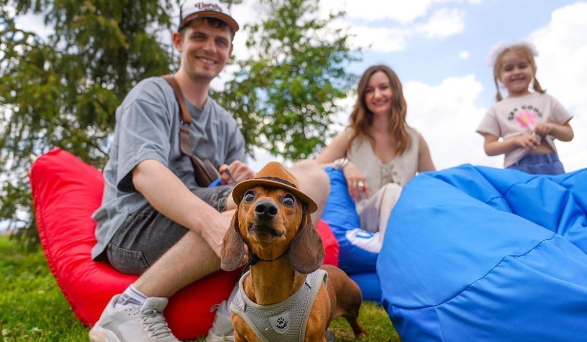 В Госдуме предложили ограничить число домашних животных в квартире