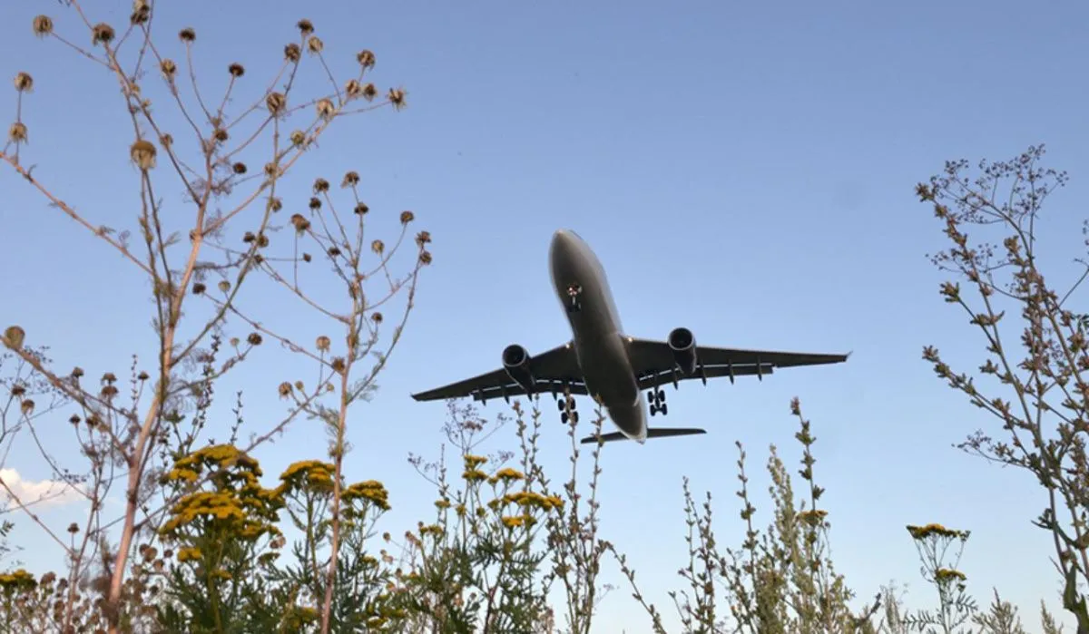Жители Казани смогут прямым рейсом летать в Ереван 